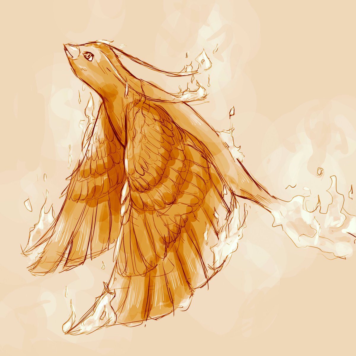 MagicofDawn1's tweet photo. Sketch of a phoenix from the Magic of Dawn series, written by Leah Dougherty. Artwork done by @Cantrona! #magicofdawn #phoenix #sketch https://t.co/47HEnQEdmO