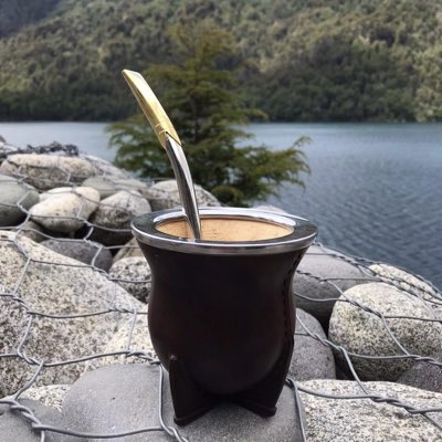 mates_top's tweet photo. #NuevaFotoDePerfil https://t.co/FWGXrsr0vU