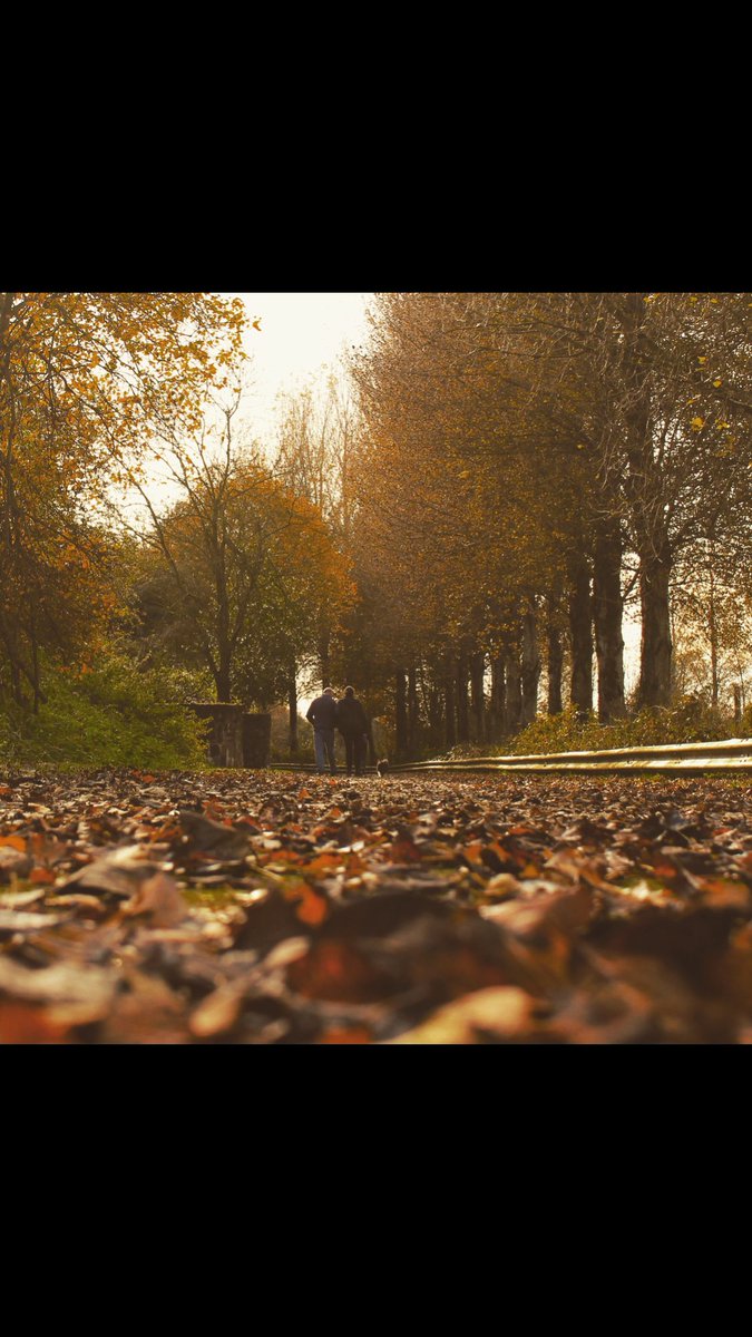 🌸🌲💚New Year’s Day Remembrance walk starts at 7.30pm from the lough keepers cottage. Please come join us in helping one another💚🌲🌸
