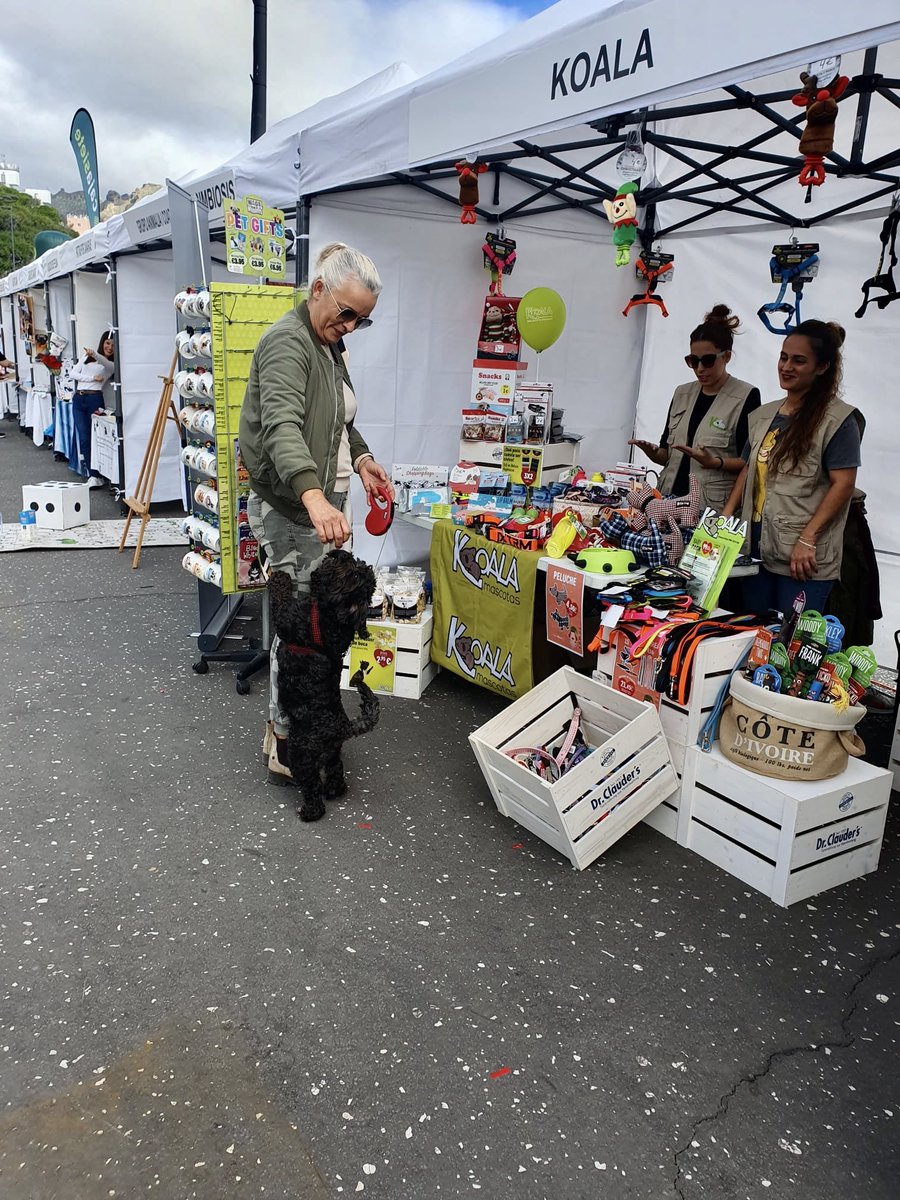 KoalaMascotas's tweet photo. Ven con toda tu familia al Día de los Animales en Santa Cruz de Tenerife 🐕🐈 ➡️ ¡Te estamos esperando hasta las 16:00h horas🕔 en la explanada de la Plaza de España! Con: talleres, charlas de sensibilización, exposiciones, exhibiciones y ¡Mucho más! 💚 https://t.co/YnviCFYPhG