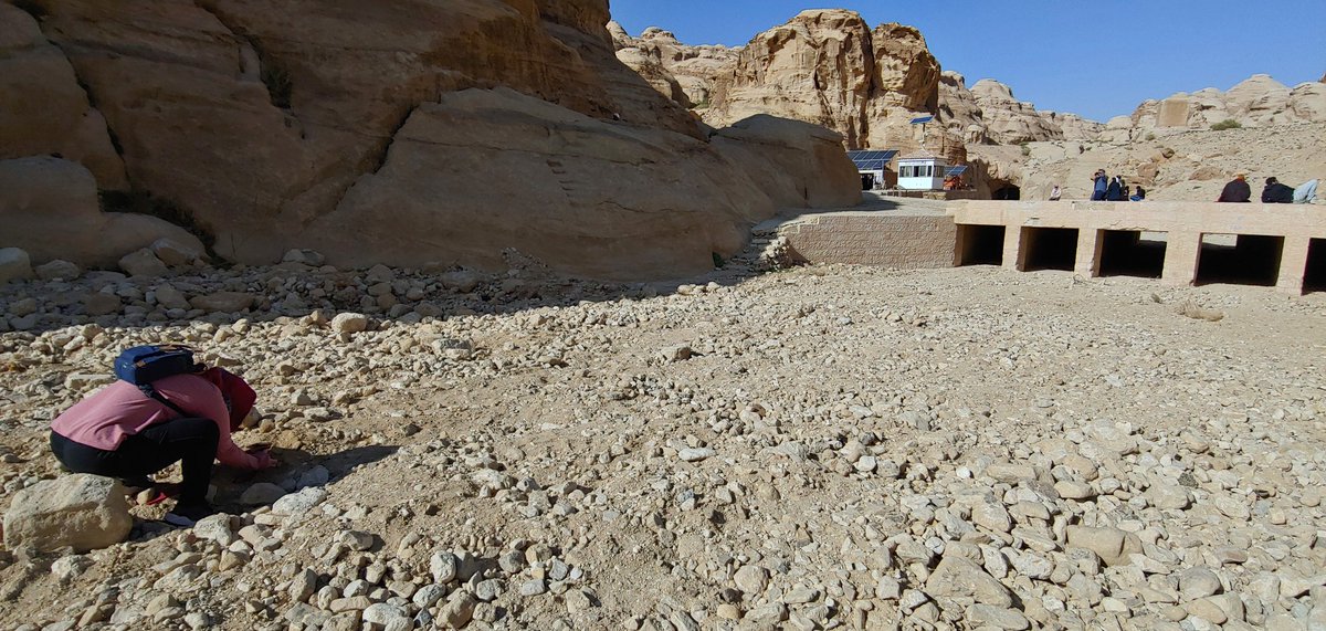 caseallen's tweet photo. When the historic photo you're trying to repeat had a viewshed a couple meters lower 100 yrs ago because the stream bed has agraded (filled-in/raised), squatting isn't enough. You dig-in & get dirty! Literally. @facesfieldwork #Fieldwork #Petra #JordanIsSafe 🇯🇴 @GroomKaelin https://t.co/SP6n8NVLYi