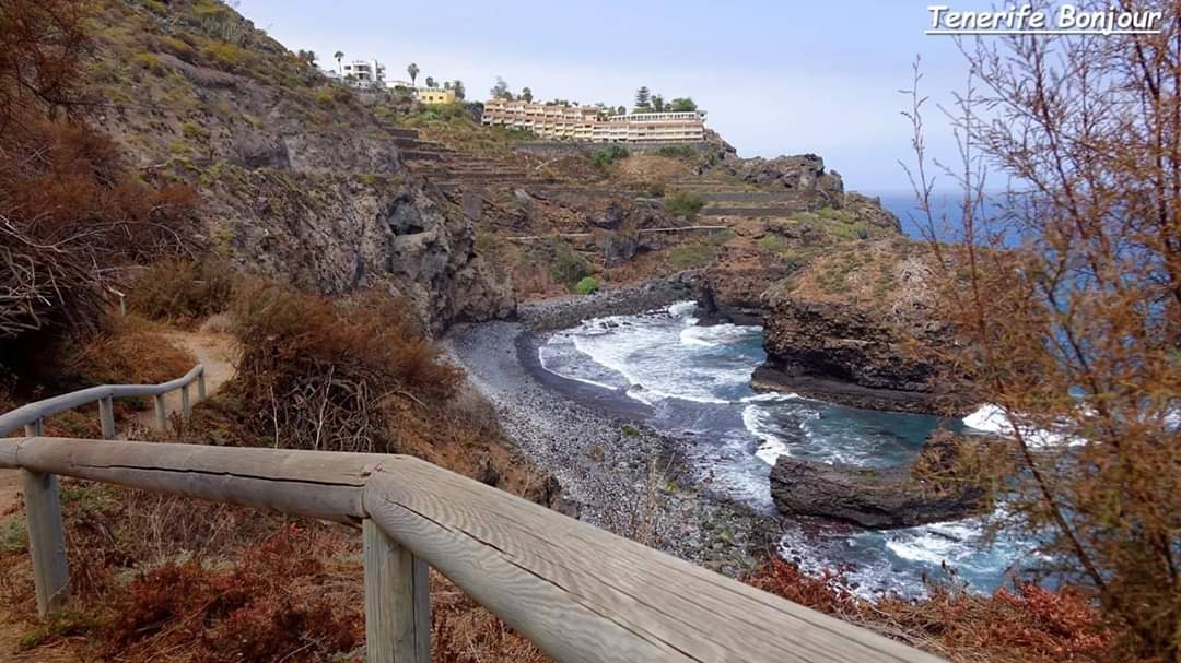 TenerifeBonjour tweet media