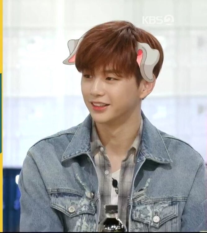 love_danity's tweet photo. #강다니엘 #편스트랑 @danielk_konnect #KangDaniel https://t.co/sfQ72e9Shw