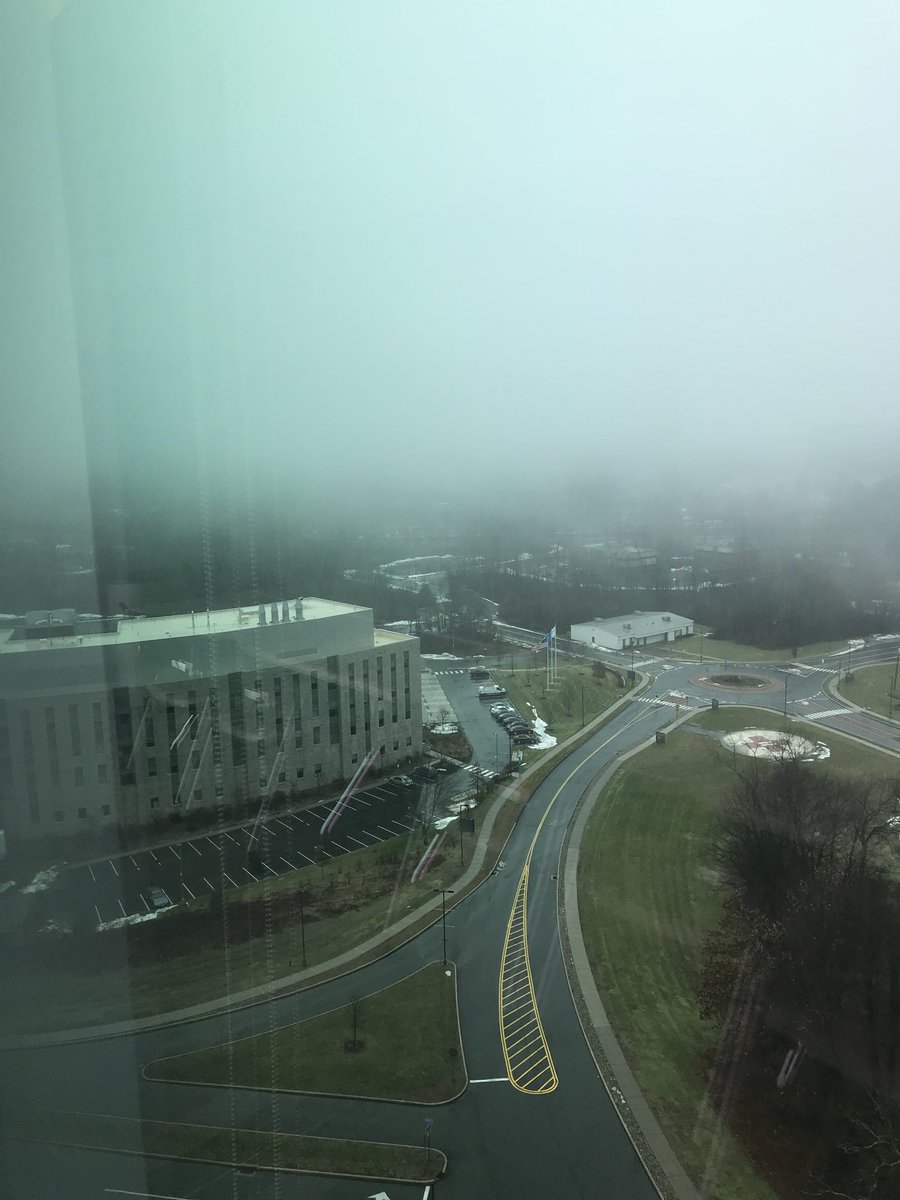 DrJim4MS's tweet photo. Great view of @jacksonlab from @uconnhealth, even with this weather, after morning rounds. Great Neurology facilities @UConnNeurology #closethegap #mstalk @TheGirlWithMS #notsunnycali https://t.co/bYgzBQm56T