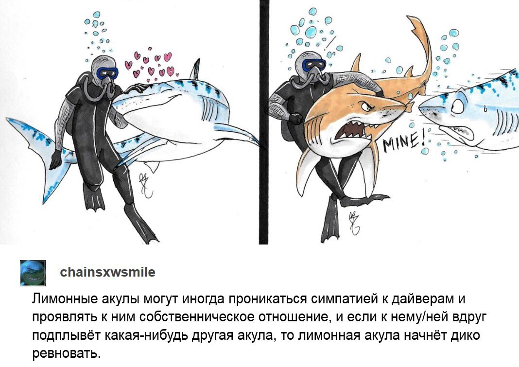 rn_plm's tweet photo. Фанфик по #soukoku
Где Чуя — дайвер, а Осаму — русалка лимонной акулы??
А это мысль https://t.co/CAkHe5lMWw
