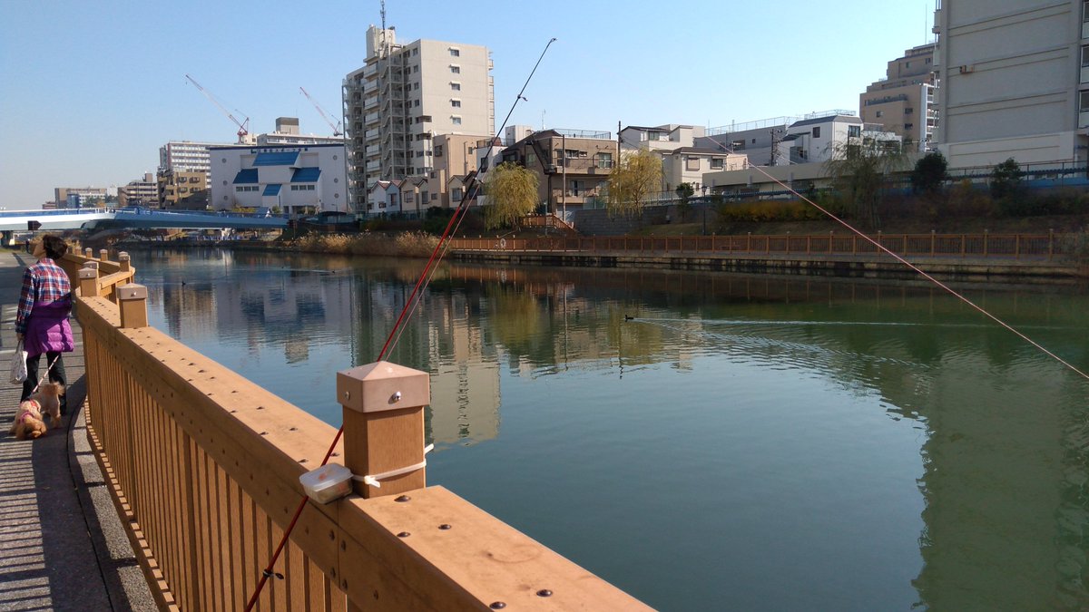 Papa 本日は小名木川でちょい投げ釣査 水深は3 4ｍ エサはホタテ サクラエビ キジ 明確な魚信はホタテ サクラエビは魚信なし ダボハゼに人気のキジ 小名木川 ハゼ釣り