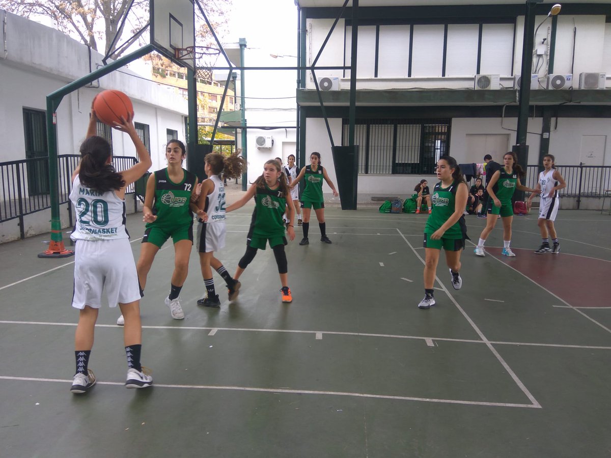 ucbcordoba's tweet photo. En la mañana de hoy nuestro Cadete UCB #Ofertel en un amistoso frente a @cordobasket Infantil Femenino
#somosUCB https://t.co/6MGEANpMjp