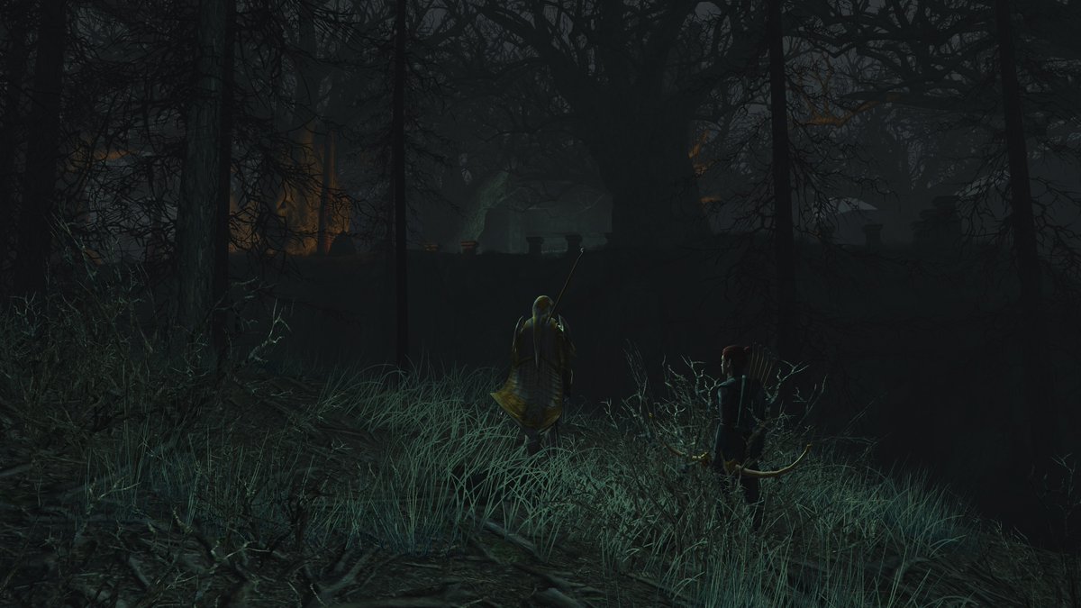 assarandir's tweet photo. Ashenglades in Mirkwood, Still lvling my Captain #lotro @lotro #lotrofamily @lotrofamily https://t.co/zhH6HcYlfl