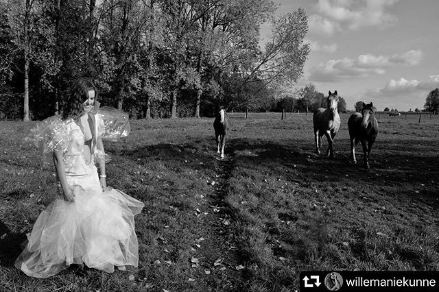 landskouter's tweet photo. #repost @willemaniekunne
・・・
It’s a fairytaile
#photoshoot #dressmadebyme #blackandwhite
#Landskouter #bw #horse #dress https://t.co/P9uWbRXhqn https://t.co/y3CvTp9jEd