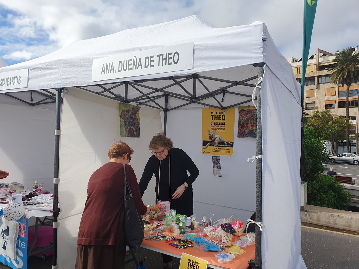DiaAnimalesSC's tweet photo. ¡Los stands del #DíaAnimalesSC 🐶 están a tope! Tenemos 20 puestos de asociaciones y protectoras con juegos, venta de productos para tu #mascota, información para adoptar... y mucho más

¡No te los pierdas! Estamos en la explanada de la Plaza España👍
@SCSostenible @CentroIfara https://t.co/JVKmY6NLIW