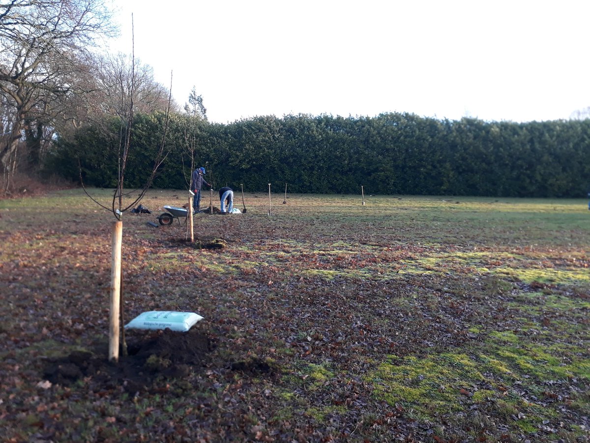 WolfLizette's tweet photo. Mooi buurtinitiatief: het insectvriendelijker maken van een groot grasveld. Deel 1: het planten van inheemse struiken en drie fruitbomen vanochtend uitgevoerd. Deel 2 en 3 gebeuren in de komende maanden. Met dank aan @aaenhunze en @ProvDrenthe https://t.co/J6KoSdzwDh