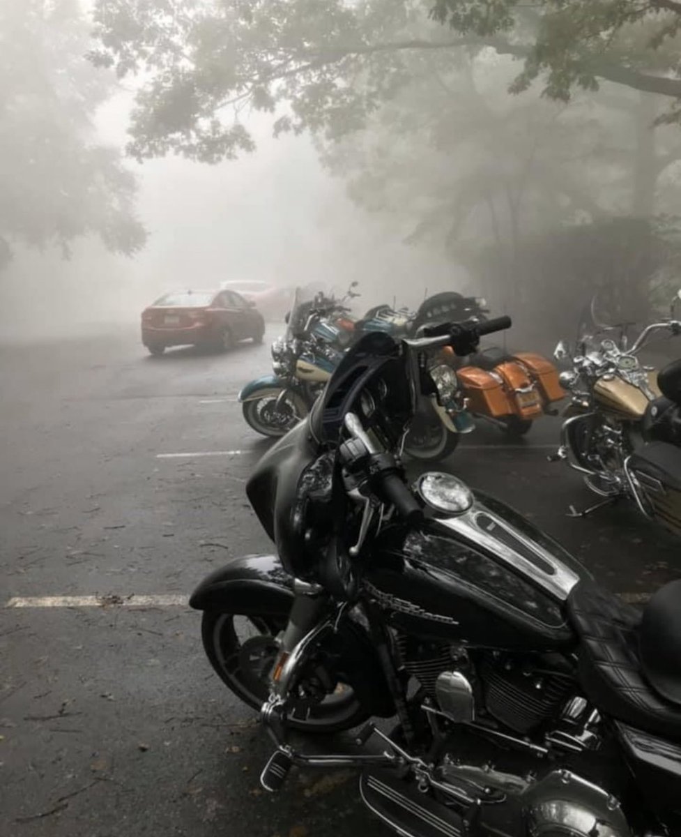 factory_47's tweet photo. Kenneths Harley Davidson Street Glide with Factory 47 chrome Assault Bars. Make sure you get out and #factory47 this week!
#bagger #baggers #baggernation #harleynation #harleydavidson #factory47 #streetglide #assaultbars #apehanger #apehangers #baggersociety #showoffmyharley https://t.co/n7ScXPVOwm