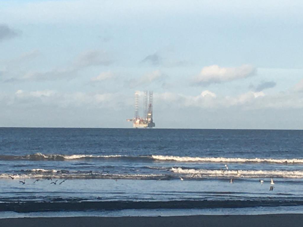 ditterhansen's tweet photo. @MirRou64 @punnette10 @x01rose @RubiesB4Swine Redcar https://t.co/i5lEXKfuRO