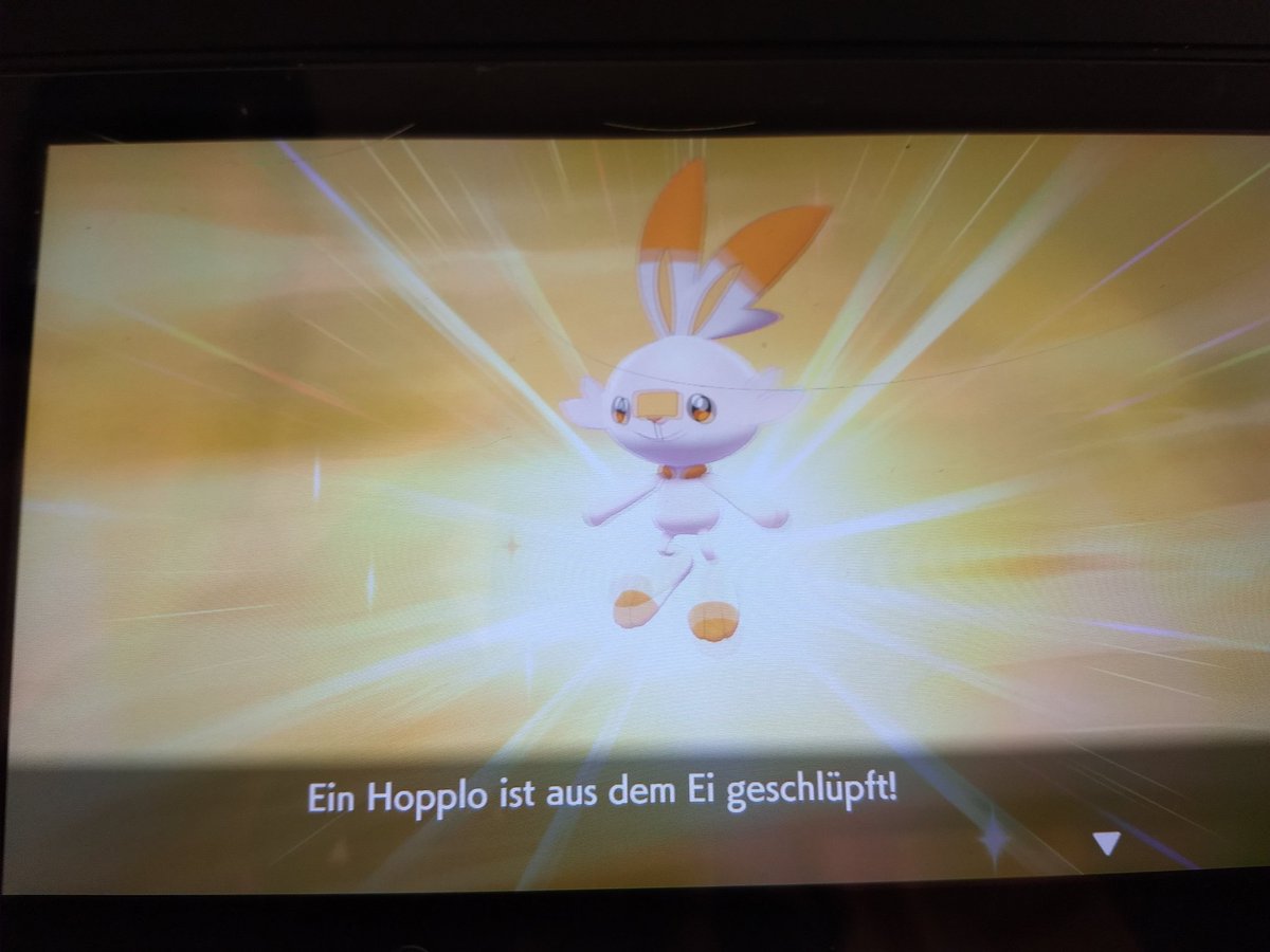 bushidooootiger's tweet photo. Shiny Hopplo nach 1.369 Eiern #shunten #sbreeding @TheSakatiS https://t.co/ddolYr8shX
