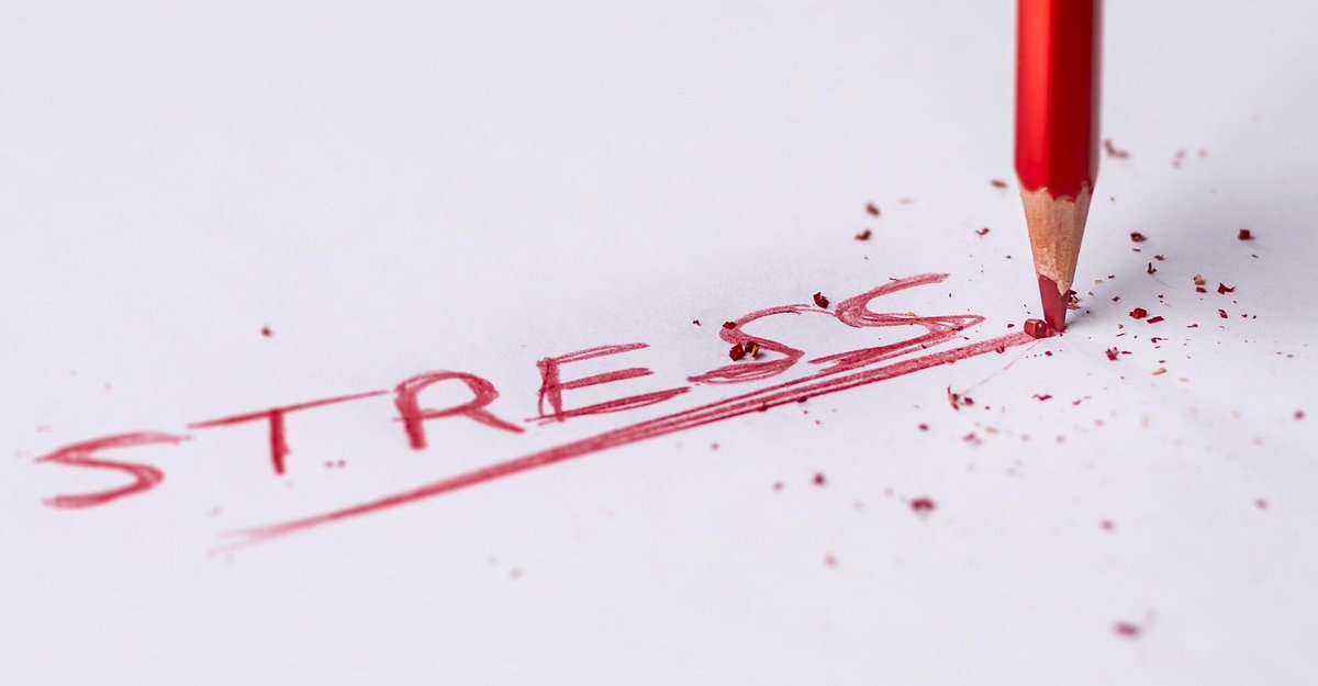 MDC_Berlin's tweet photo. Our @MdcPhd representatives have put together a series of articles about mental health during the PhD phase. Why do #PhD|s even get stressed out in the first place? 

👉 More info: https://t.co/Yf31Dnx9oh

@BIMSB_MDC @ResearchGermany https://t.co/ubKbrf06CL