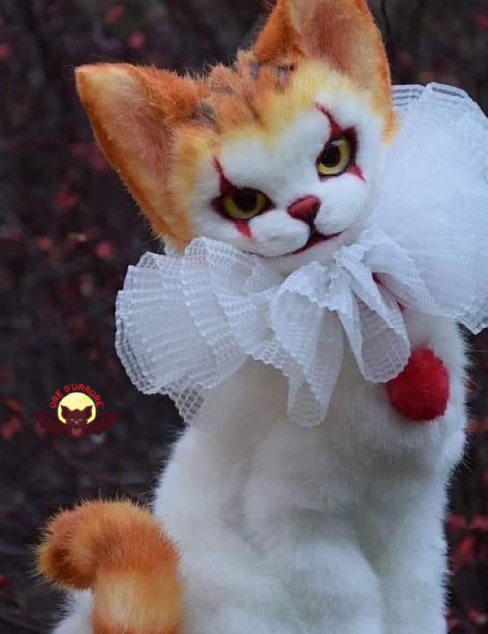 Cat dressed as clearance pennywise