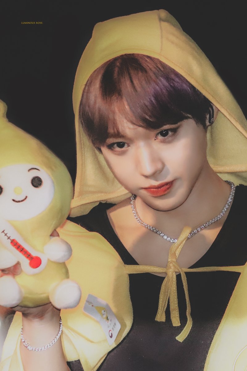 𝐥𝐮𝐦𝐢𝐧𝐨𝐮𝐬 𝐫𝐨𝐬𝐞␍ tweet media