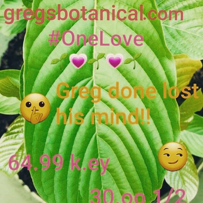 TeaIndo's tweet image. You simply cannot beat this. 
#crazy #wwwgregsbotanical #botanicalboost #loveit