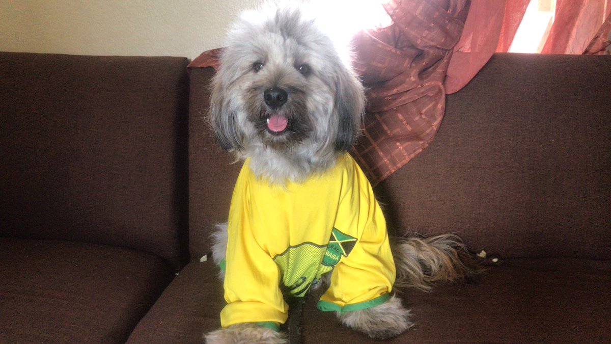 SujaeBoswell's tweet photo. We #Jaminate! It's special occasion for our country so I had to be extra 😂🇯🇲

#MissWorld2019 https://t.co/5b8BedM3pn