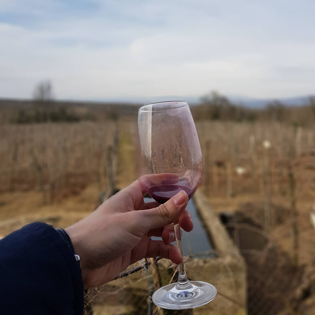 Budget_Georgia's tweet photo. What do people to in winter in wineries?

Some say they drink wine produced last year

Some say they leave winery

Actually they're working hard and waiting for next season to provide excellent liquid

#wine #wineinwinter #winter #winetour #winery #winetasting #redwine #vineyard https://t.co/N5C3Paf2eE