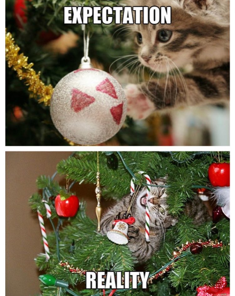 Josh Herbst 🎤 (@outofsightlafs) on Twitter photo 