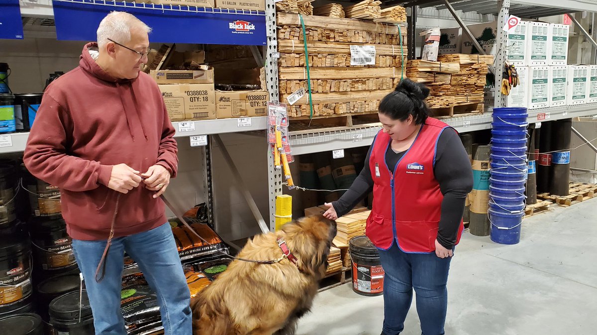 MarcusLewis3159's tweet photo. Our K9 Friends; once they found out Lowe's was Pet Friendly, they visit on the weekends. The team and out other customers love them!!! @timdaleynymetro @paularubioHR @Legler1363 @l_abbatecola https://t.co/qwwxRzj1KH