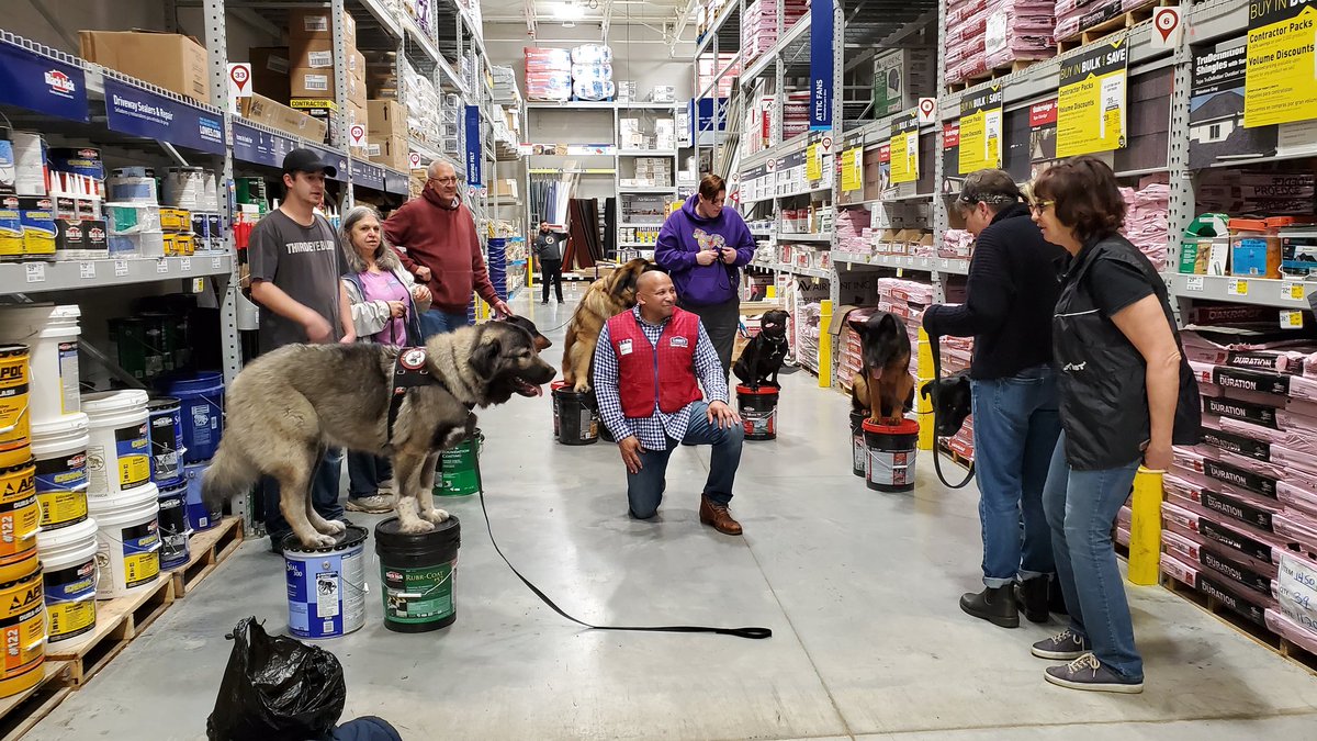 MarcusLewis3159's tweet photo. Our K9 Friends; once they found out Lowe's was Pet Friendly, they visit on the weekends. The team and out other customers love them!!! @timdaleynymetro @paularubioHR @Legler1363 @l_abbatecola https://t.co/qwwxRzj1KH