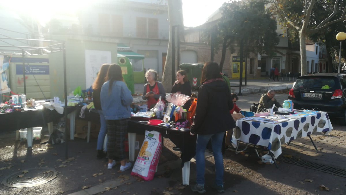 ¡Muchísimas gracias a todos por venir a vernos a Bétera! Nuestros peludos se lo han pasado canino. Gracias especialmente a todos los que habéis hecho esto posible. ¡Nos vemos en la próxima! 😻💜
