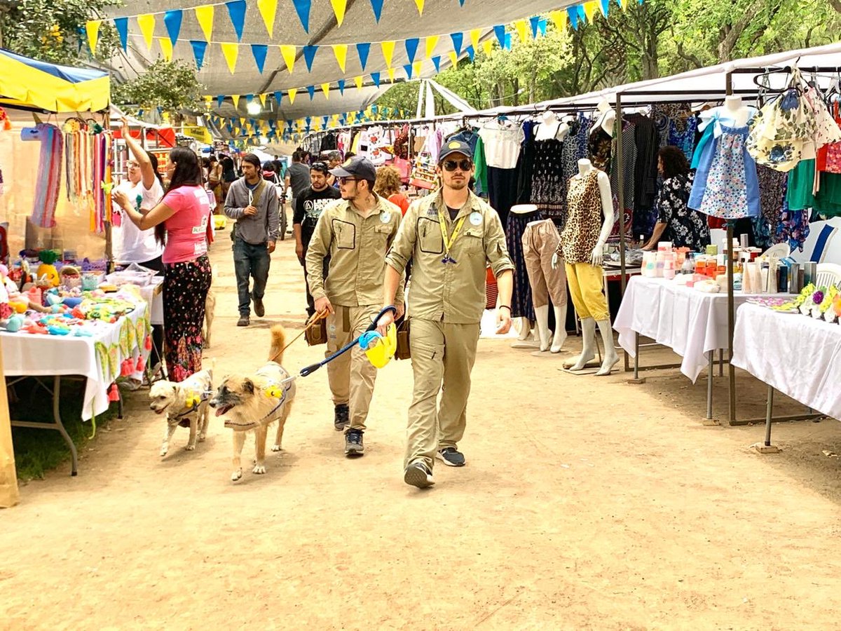 Muni_Maipu's tweet photo. Este fin de semana estaremos con jornadas de adopción en nuestro #CerroPrimoDeRivera.

Encuéntralos acompañando a nuestros Guardaparques.🐶

#MaipuUnido por nuestr@s emprendedor@s. https://t.co/jeR9prcicy