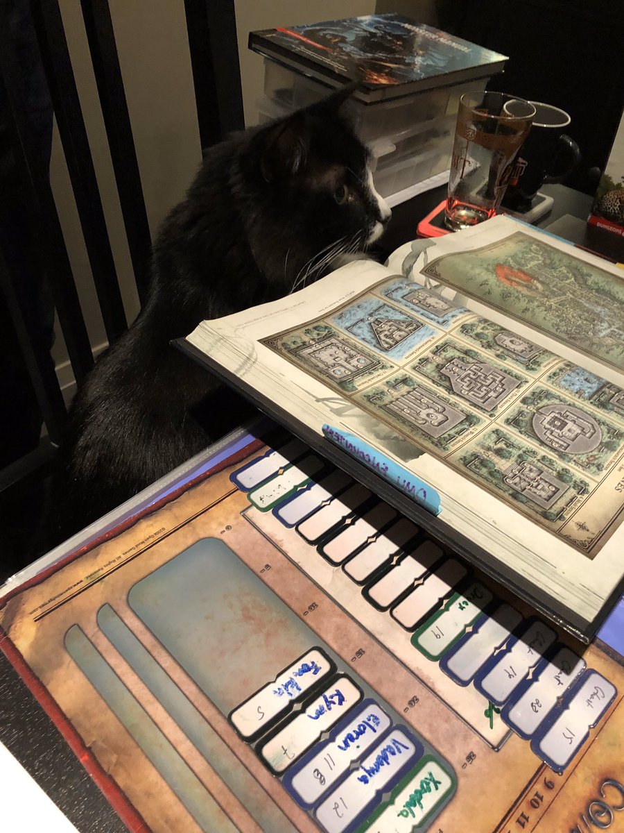 GameMasterAdam1's tweet photo. Guest DM Edgar at the helm. He also responds to Little Man and can be bribed with cat food. #dnd #dnd5e https://t.co/5TqKkS8kGT