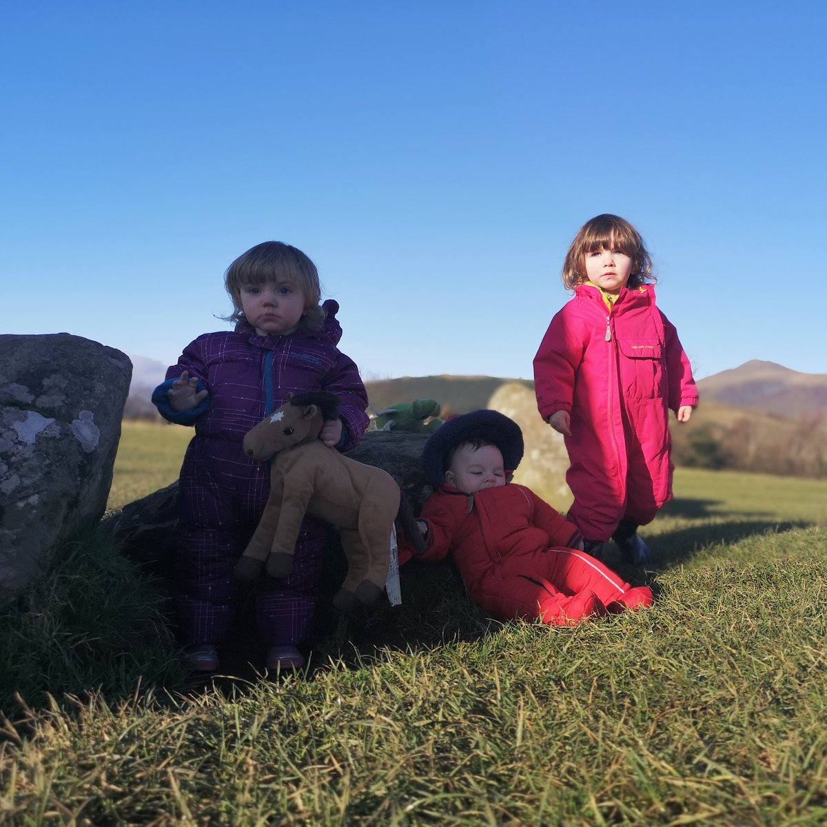 Growing Up With Nature tweet media