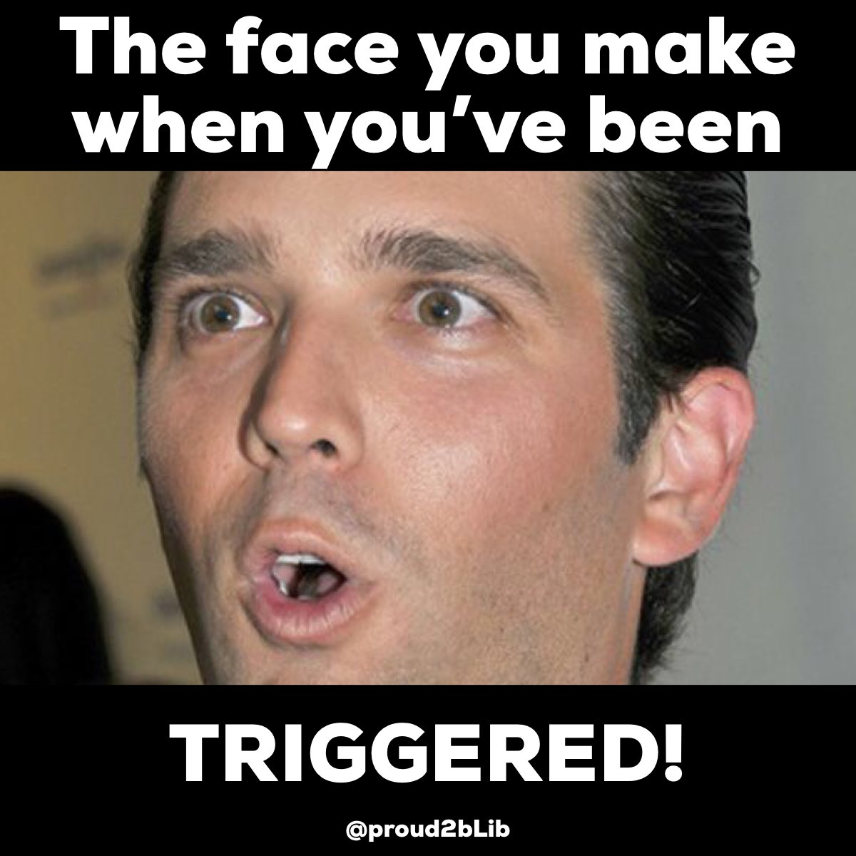 proud2bLib's tweet photo. @DonaldJTrumpJr @realDonaldTrump They lied. That’s a (im)peach coming from the biggest one of all! #triggerdonaldtrumpjr https://t.co/WaCgh3oFfM