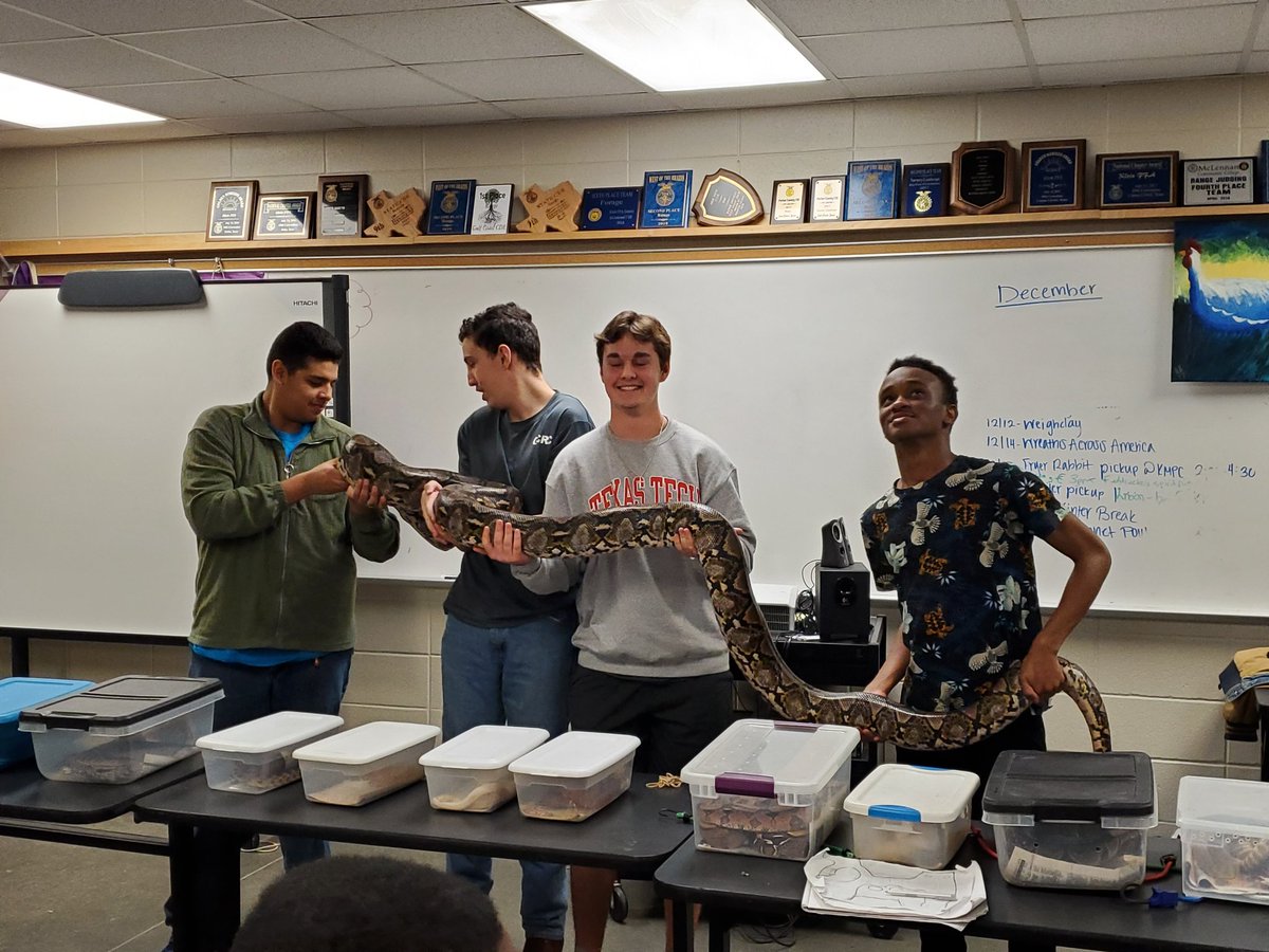 Klein FFA tweet media