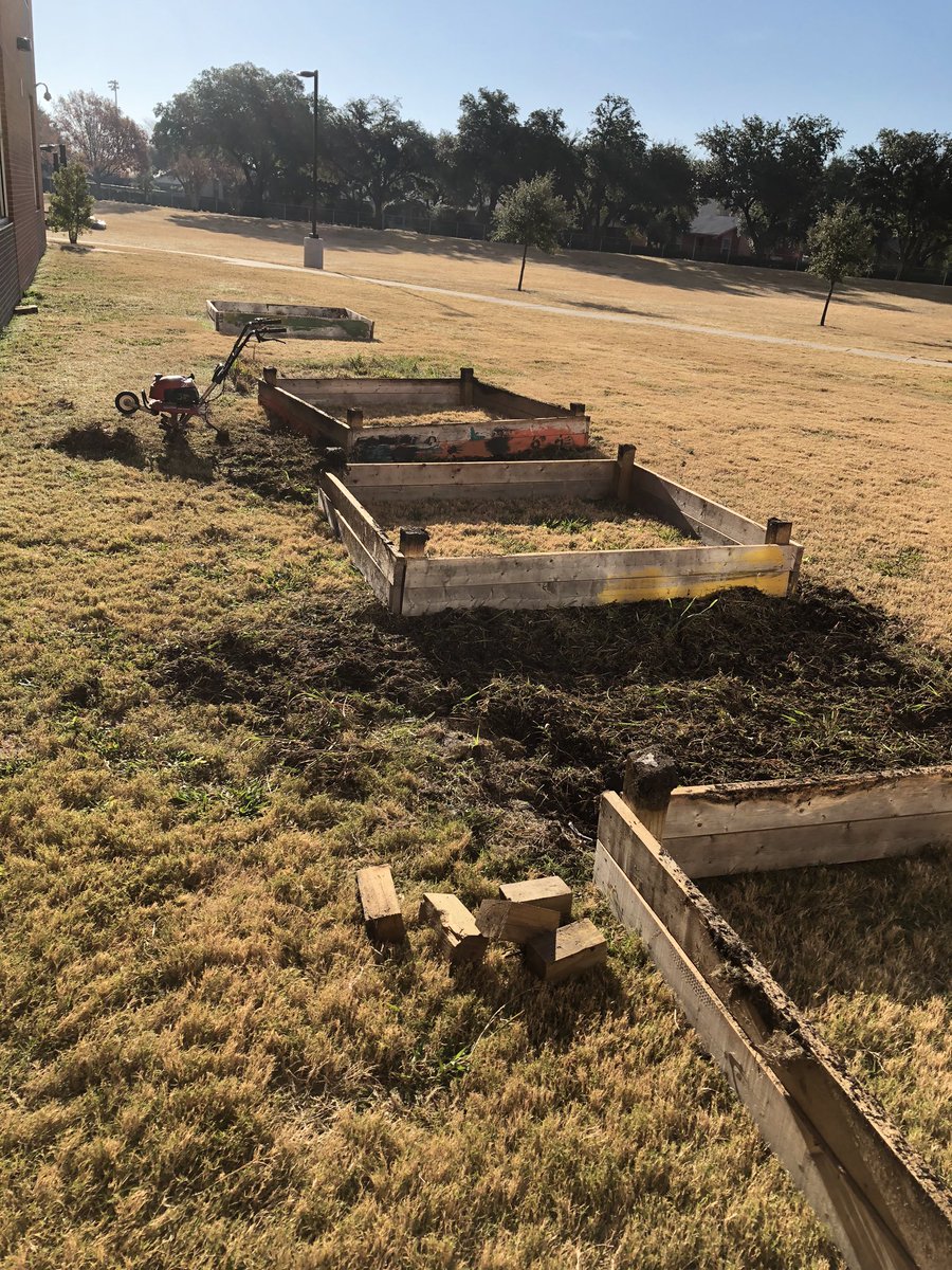 It’s a beautiful Saturday morning, and the Gardening Club growing beds here at Camey have been tilled, “cleaned”, and are ready for little hands! We may not grow anything, but it’s going to be awesome getting dirty while trying!