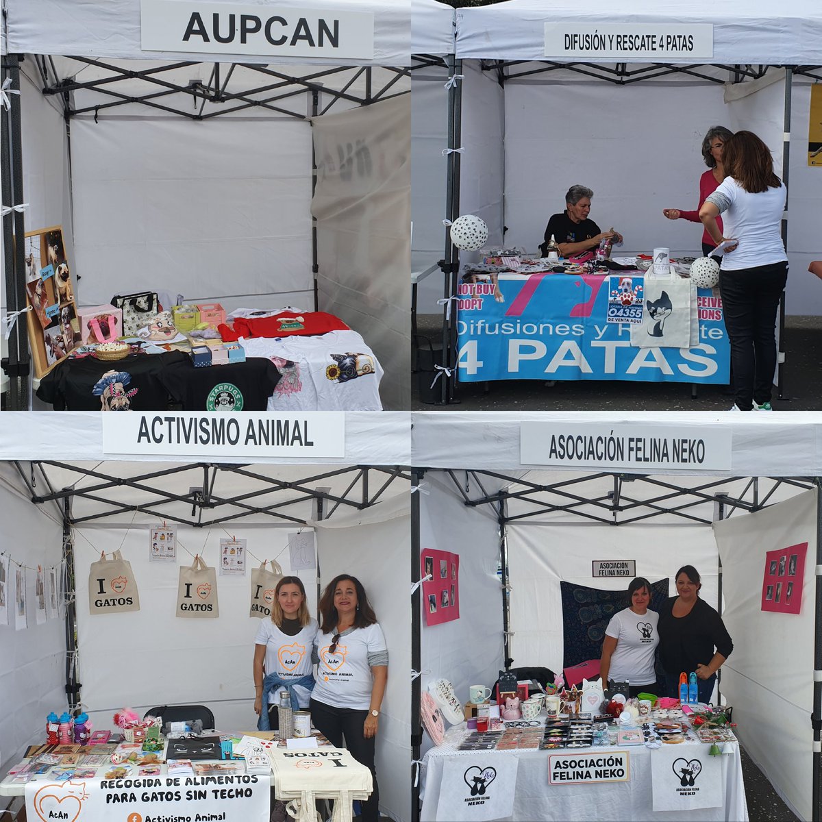 DiaAnimalesSC's tweet photo. Concluye esta edición del #DíaAnimalesSC y no queda otra que dar GRACIAS 🤗 a todas las asociaciones, entidades y protectoras que participaron hoy en el evento 👏👏

¡El próximo año más y mejor 😉! #animaldaytenerife #petfriendlytenerife https://t.co/IdMkp51ryY