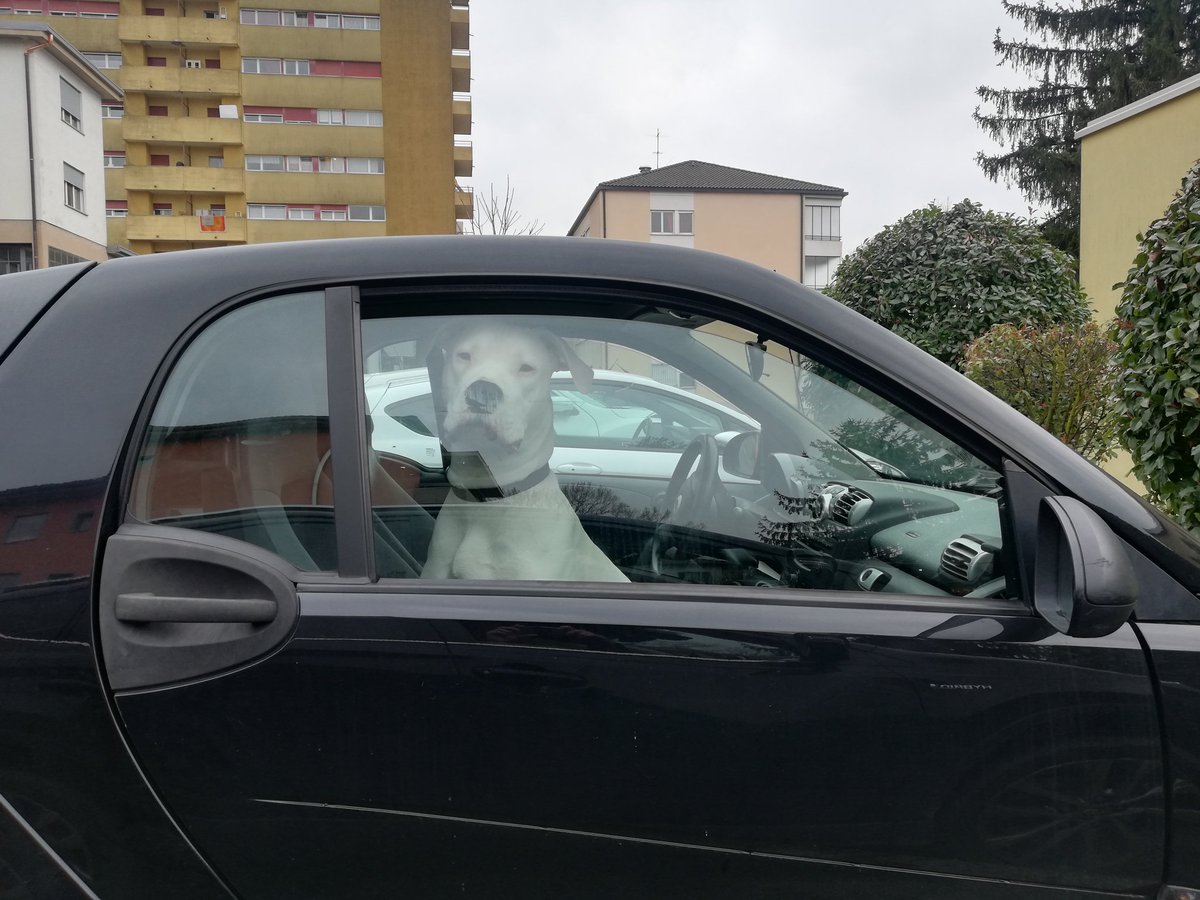 alexmartellotta (@a_martellotta) on Twitter photo 