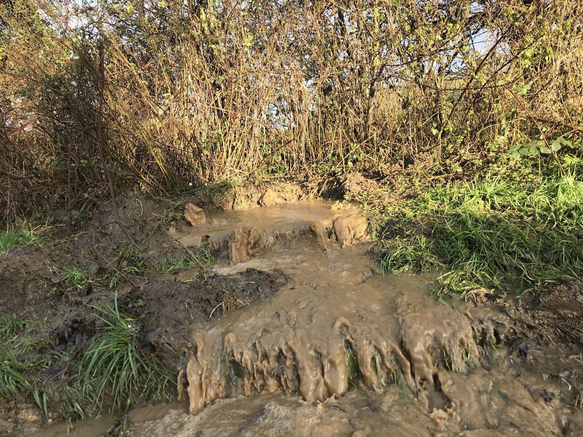 lagopusscoticus's tweet photo. Dodged a bullet today weather wise, but only just... wetter than an otters pocket under foot, but wind made them spicy. Bag of 60 all taken home by those involved. #shooting #cockers #getkidsinvolved https://t.co/3sm6KrpS9m