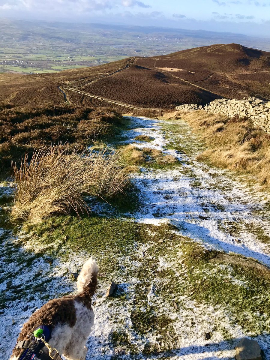 holly_ffi's tweet photo. Moel Famau. What a place. #Canicross #Anicross #AniAdventures https://t.co/ICJqPZsgbM