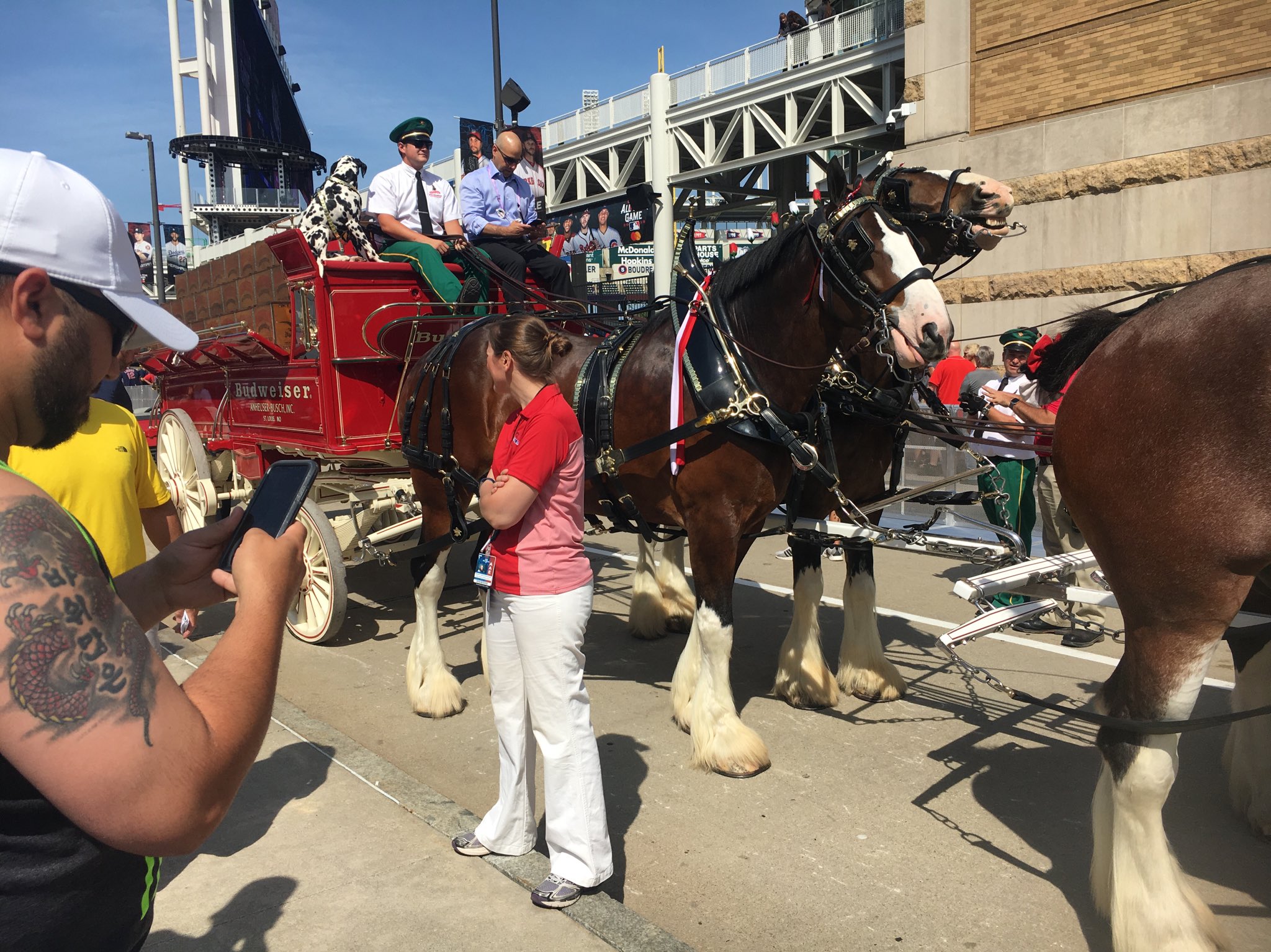 McNeil on Twitter "Christmas Commercials Power Rank 🎄 1. Corona Feliz