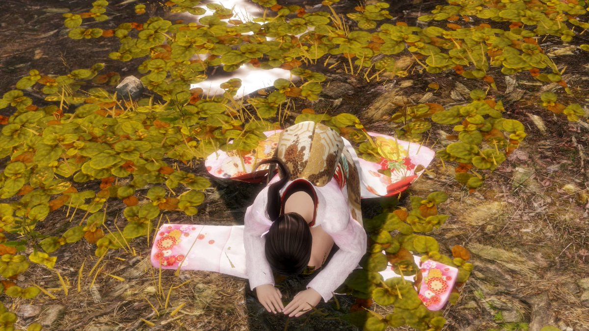 Palindrom0's tweet photo. #DOAPhoto #KTfamily #MaiShiranue #Deadoralive6 #DOA6 #SNK Kokoro Priestess #PS4share https://t.co/5jcMkD4M37