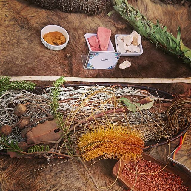 Enjoying natures gifts. Local bush treasure in all its glory. Mother nature provides and sometimes you will find the unexpected in the most arid places🌱 @undalupassoc @natgeo @living_smart_gallery #natureprovides #southwestaustralia #yallingup #smart… ift.tt/2EkkiyV