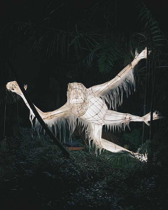 Rexyspride's tweet image. Let’s not let the mighty Orangutan become a ghost of the forest. We need to all club together to protect their habitat and species. 
#orangutang #savetherainforest #greenpeace #edenproject #savetheplanet #ecofriendlyliving ift.tt/2PKutCf