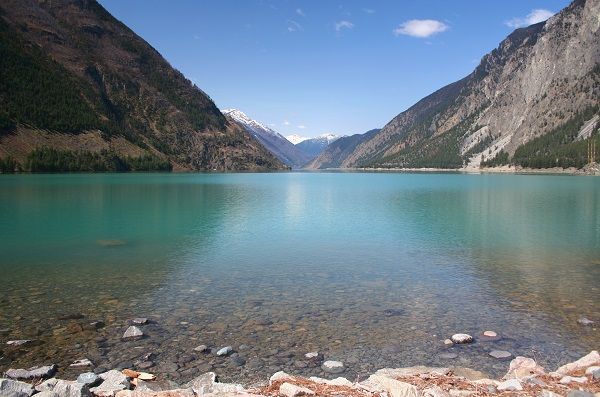 cjfas's tweet image. How do you make glacial bread? With glacial flour, which is also important for primary/secondary production in #salmon nursery lakes buff.ly/34it23P by @_Cecilia_B @cumminglab @queensu et al.