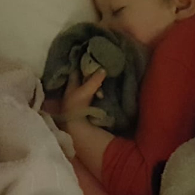 #Cardiff - help needed! My son's bag was lost in town earlier today but most importantly it has a very important soft toy elephant inside - he has huge sentimental value. Please if you see a green George Pig backpack or even Eddie the Elephant himself - let me know!