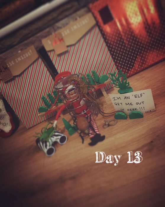 CDanielkl's tweet photo. “Im an Elf.. Get Me Out Of Here.. “ #elfontheshelf #elf #countdown #christmas @antanddec https://t.co/5dpIzNQ7T1