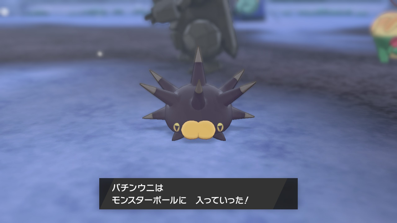 Kao 9番道路でポケモンキャンプしてカレー作ったら野生のカレーずきなバチンウニ現れて仲間になったんだけど 興奮 おずおず近寄って来るの可愛いすぎたんだけど こんな仕様もあるなんて 奥深い ポケモン剣盾 Nintendoswitch T Co