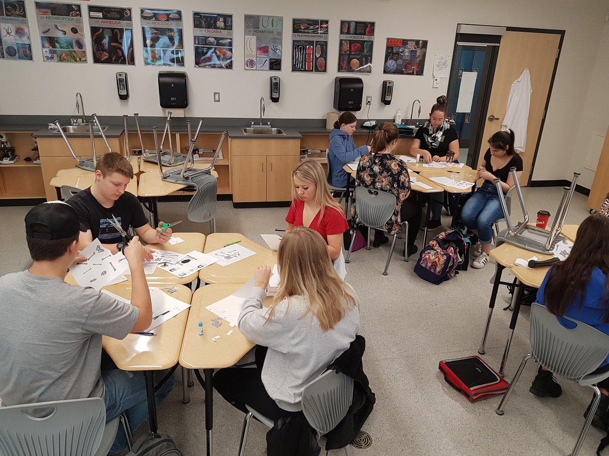 PSSDMHS's tweet photo. Health Science 20 students investigating a missing persons report using their knowledge of the skeletal system. #HealthScience #MHSRoyals https://t.co/1JSre7bK4S