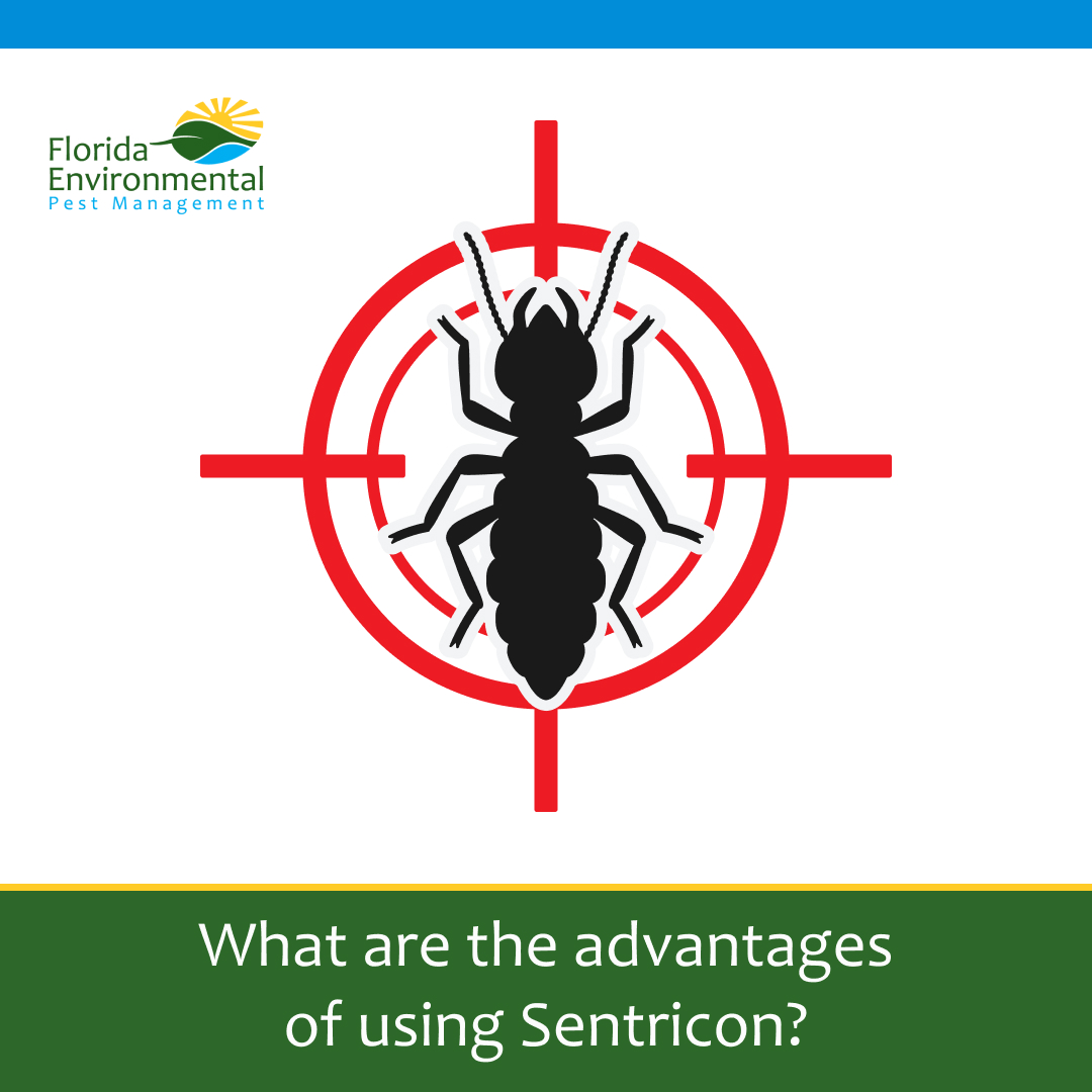 FLEnvironmental's tweet photo. #FEPM offers your home protection from #termites using the Sentricon® System with Always Active™ technology. This product offers effective, unique, and a lethal formulation that kills termites from the root. 

Get a FREE ESTIMATE by signing up at https://t.co/dOqkMk9YKd. https://t.co/p7wAGfEQ1z