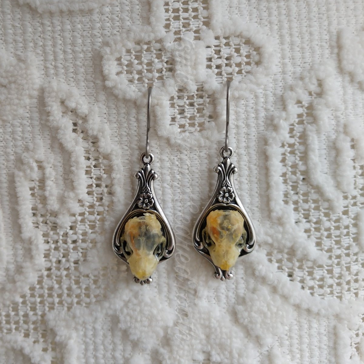 ScaredToothEtsy's tweet photo. Real bat skull earrings. 🦇 Not yet listed. 

#resin #resinart #accessories #jewelry #handmade #bat #bats #skulls #bone #bones #goth #gothic #oddity #oddities #vultureculture #curiosities #unique #smallbusiness #etsy #aesthetic #Halloween #unusual #earrings #strange #ooak #spooky https://t.co/EGhAUNP4Kl