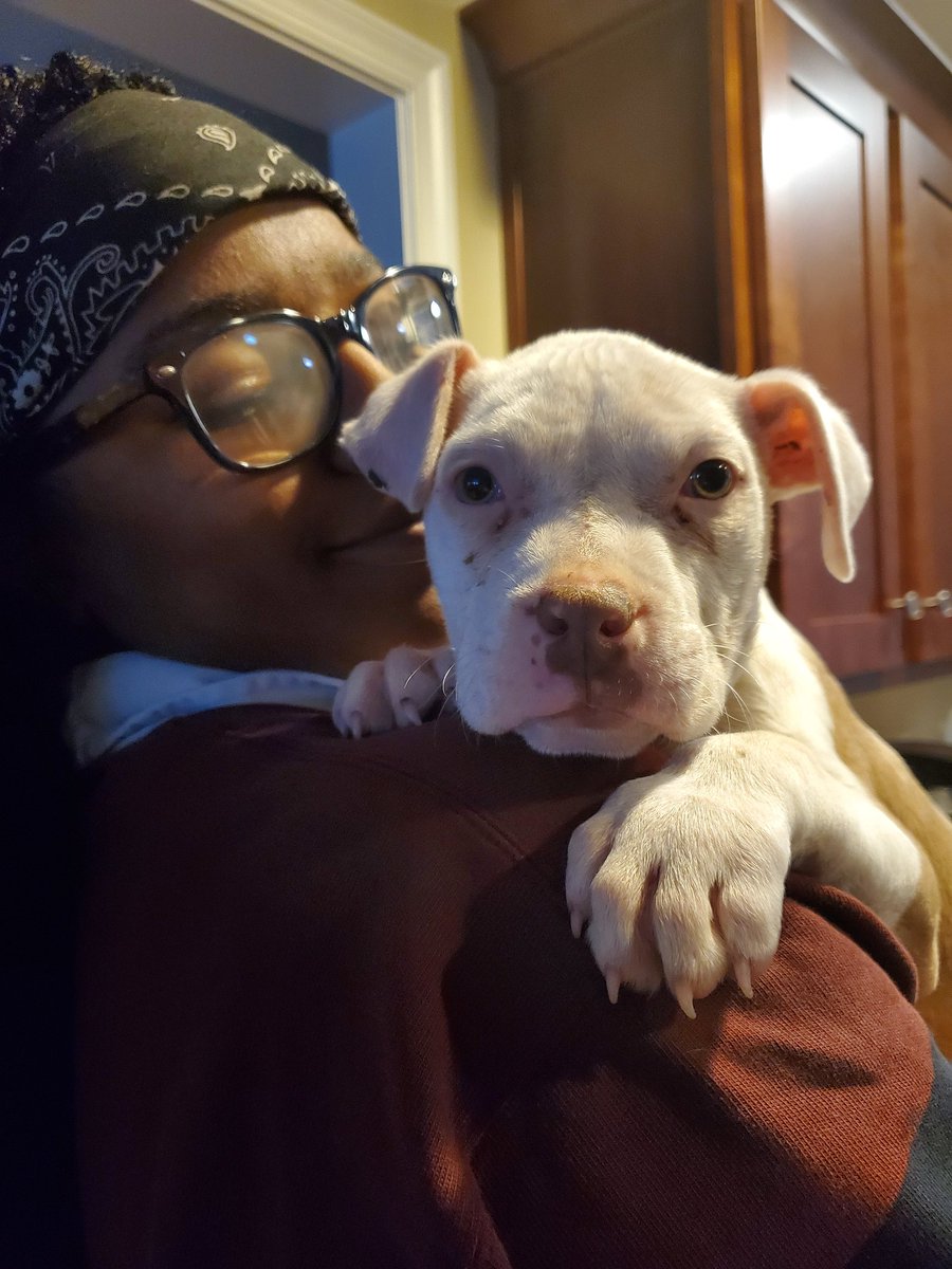 cheyalek's tweet photo. @rauhling_bizzle #POCpride what's better than a gay and a puppy ? Nothing. https://t.co/f6GELUxVlz